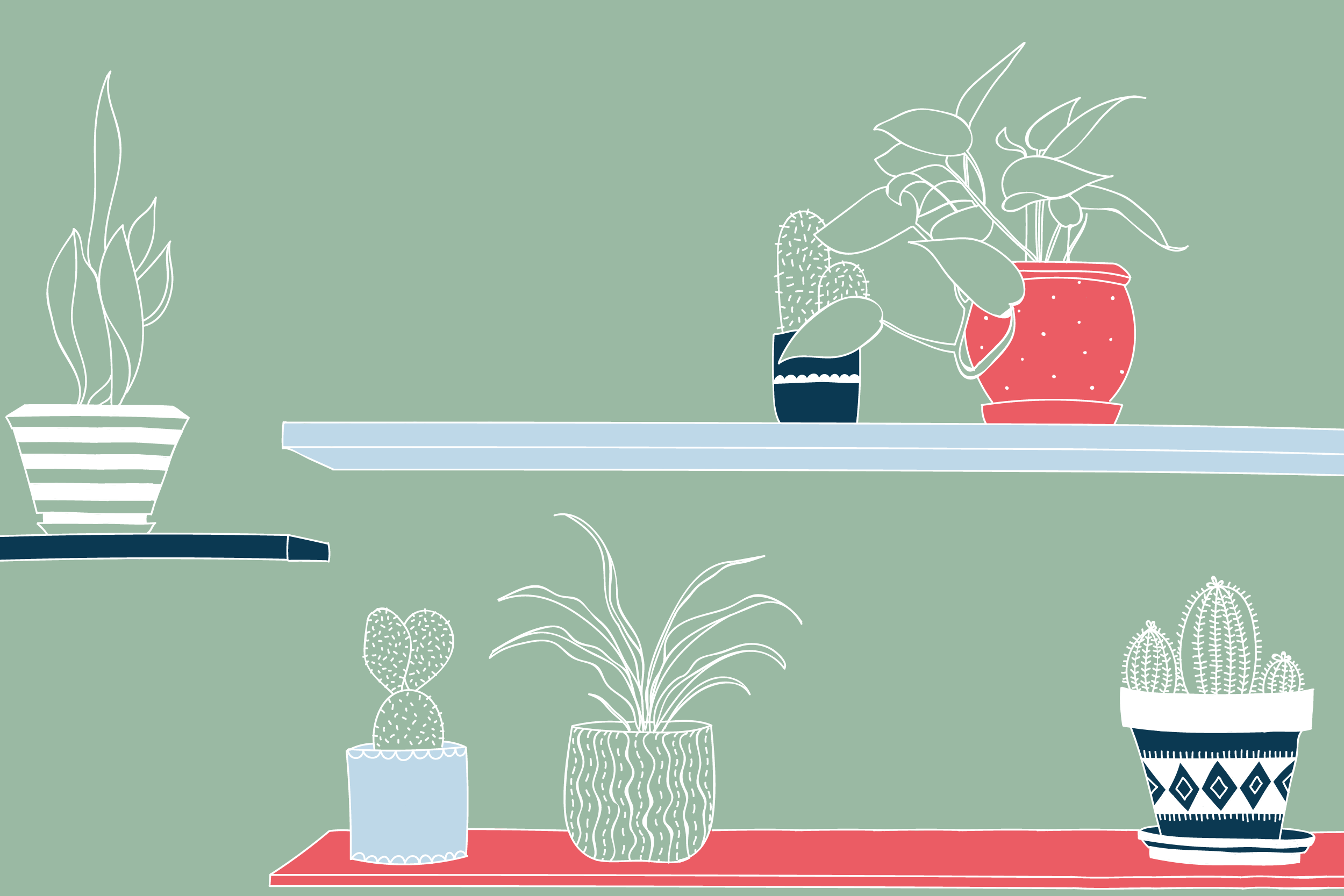 plants